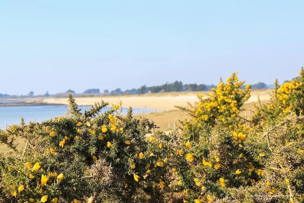 Nyaraló Superbe Maison Familiale Proche De La Mer Locmariaquer Franciaország
